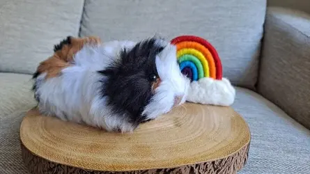20220830_123325.jpg