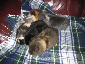 All 5.JPG
