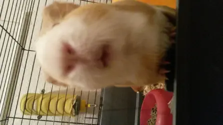 20150213_210714.webp