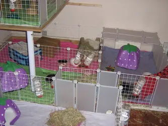 IMG_0270.webp IMG_0270.webp