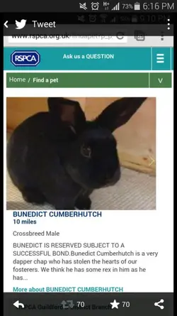 Screenshot_2014-07-02-18-16-41.webp