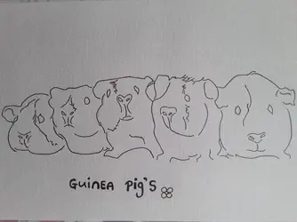 103.jpg 103.jpg