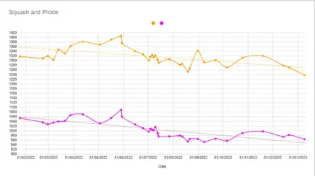 SquashPickleWeight.webp