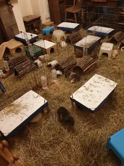 20220719_214838.jpg