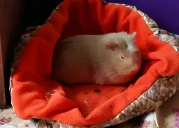 2023-04-02 10.26.09.webp 2023-04-02 10.26.09.webp