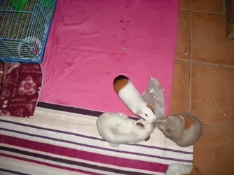 DSCF4536.webp