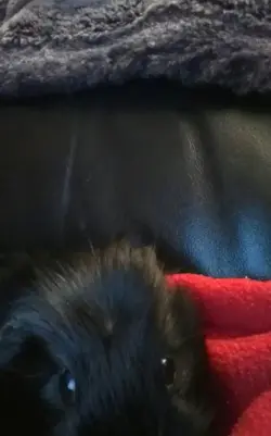 KINDLE_CAMERA_1425246016000.webp KINDLE_CAMERA_1425246016000.webp