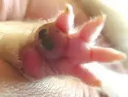 1681971558614.webp