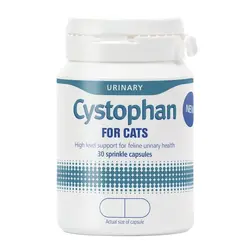 cystophan.webp