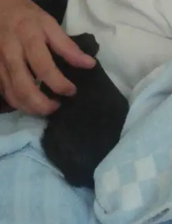 Baby Freddie.webp