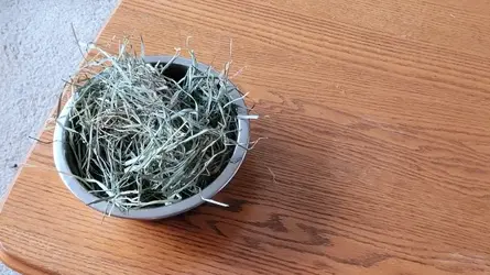 New Hay.webp New Hay.webp