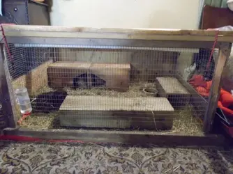 DSCN2398.webp