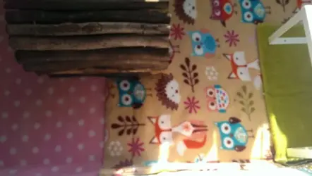 IMAG1418.webp