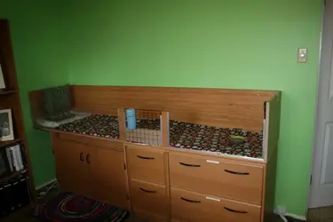 brand new cage.webp