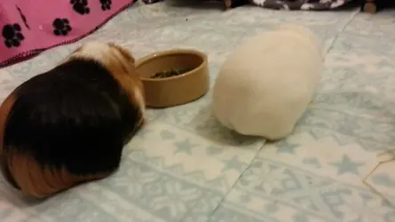 20150330_202516.webp