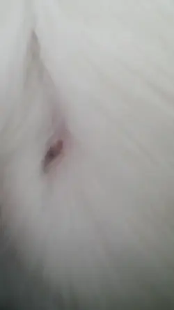 Screenshot_2015-03-31-14-15-44.webp