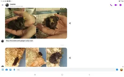 Screenshot_20231013-114511_Messenger.webp
