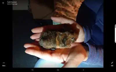 Screenshot_20231023-112842_Messenger.webp