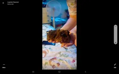 Screenshot_20231101-201407_Messenger.webp