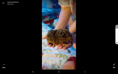 Screenshot_20231101-201246_Messenger.webp