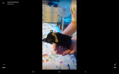 Screenshot_20231101-201221_Messenger.webp