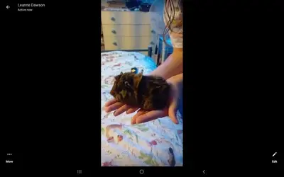 Screenshot_20231101-201317_Messenger.webp