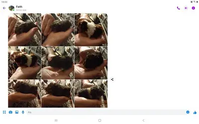 Screenshot_20231103-180022_Messenger.webp