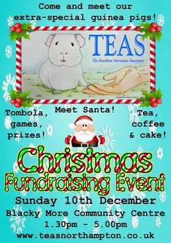 Copy of TEAS 2023 - Christmas 2023.webp