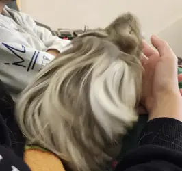 1705214224491.webp