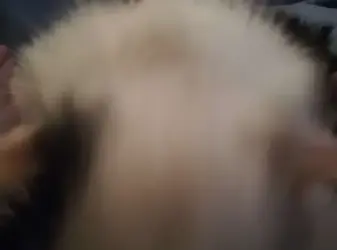 closeup.webp