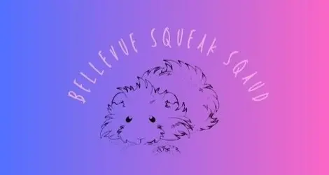 Bellevue Squeak Squad.webp