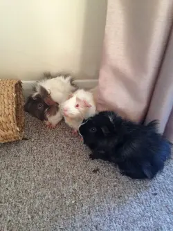 1708025953510.jpeg 1708025953510.jpeg