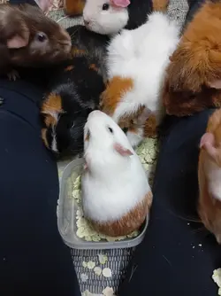 20240105_200928.webp 20240105_200928.webp
