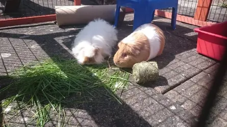 DSC_1927.webp