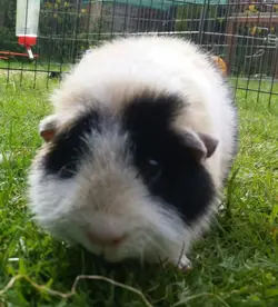 2015-05-04 18.35.59.webp