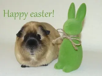 happy_easter.webp