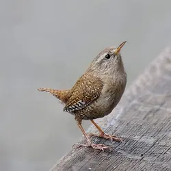 1719005180637.jpeg 1719005180637.jpeg