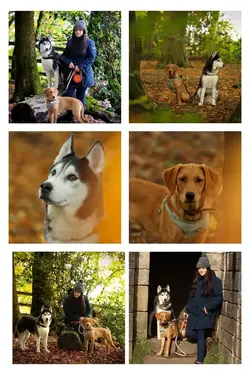 Untitled design (10).webp Untitled design (10).webp