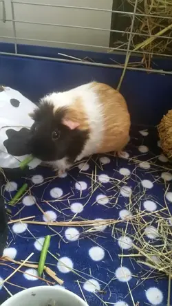 2015-05-30 20.33.59.webp