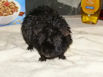 sal_bath_small_1_june_9_15.webp