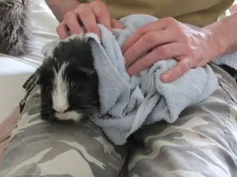 Bath dry 1.webp Bath dry 1.webp