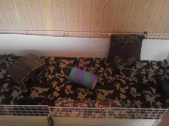 2015-06-17 13.34.44 (1).webp