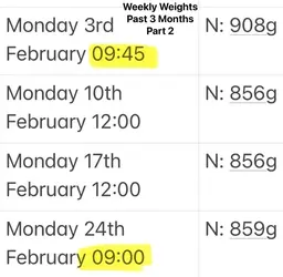 Weekly Weight Part 2.webp