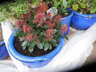 DSCN4389.webp