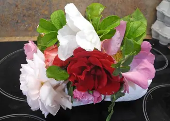 DSCN6821_1232_edited-1.webp