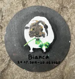 Bianca memorial.webp