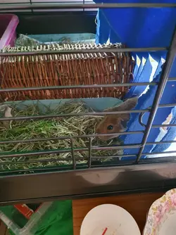 20250630_103014.webp