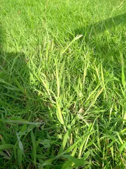 IMG_20250610_172907013.webp