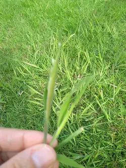 IMG_20250610_172918558.webp