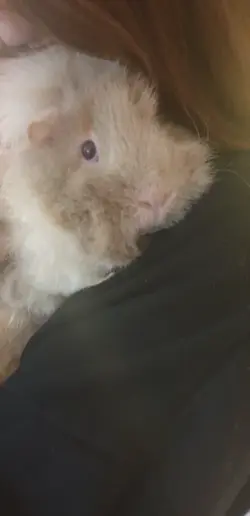20241121_153643.webp